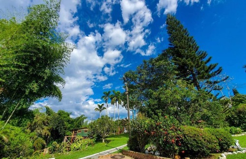 Pereira Cabin | Eco Cabañas Green Eden