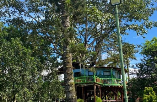 Pereira Cabin | Eco Cabañas Green Eden