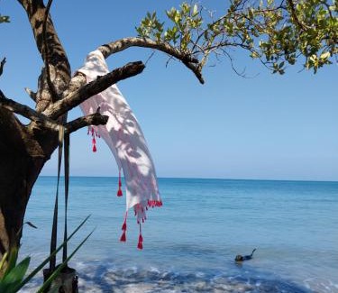 Rincon Other | Eco-Camping Mango Feliz Rincón del Mar