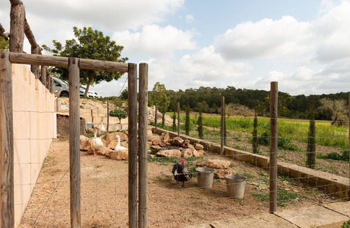 Son Antem Villa | Eco Finca can Alegria with pool, Llucmajor, Spain