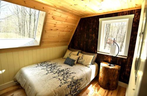 Springvale House | Eco-Friendly Solar Powered A-Frame Treehouse with Hot Tub and Private Dock on Littlefield Pond, near Wells, Maine