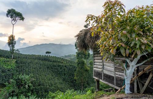 La Estrella Other | Eco Hotel Glamping El Silencio