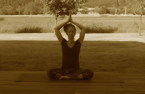 Die House | Eco-Logis du Clos des Tilleuls Gîte with Mountain View, Shared Terrace and Garden