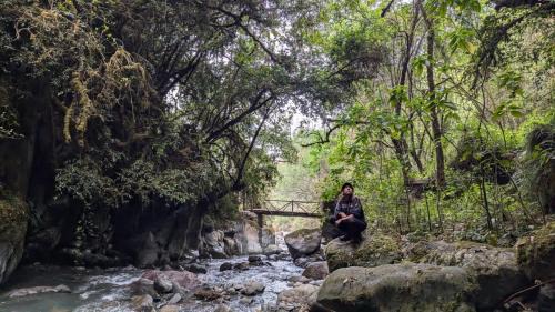 Ollantaytambo Other | EcoLodge Mayu Camping