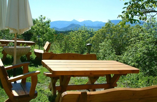 Venterol House | Ecological guest house Tallard- Gap-Serre Ponçon: Ophrys