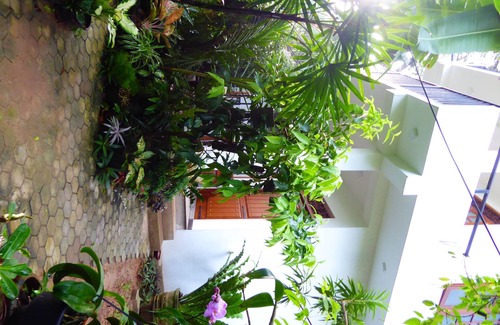 Weligama Cottage | "Eddy's Cottage" Perfect Location For Relaxations With