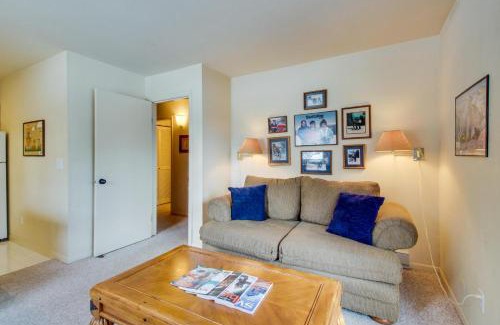 Warm Springs Apartment | Edelweiss Ski-In-N-Out & Unwind on Picabo St