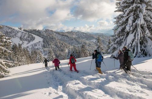 Station de Drouzin le Mont Apartment | Edelweiss, Studio 5 pers, balcon sud est, vue sur les montagnes