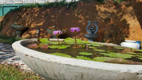 Weligama Villa | Edelweiss villa