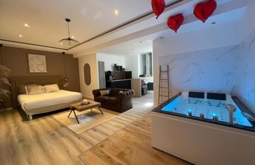 Saint-Etienne Apartment | Eden Spa ST Etienne