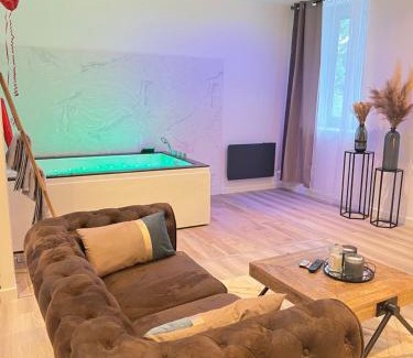 Saint-Etienne Apartment | Eden Spa ST Etienne