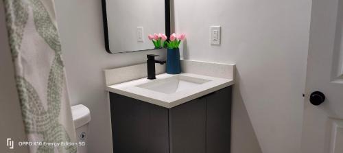 Miami Gardens House | Edercozy