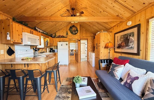 Island Park Cabin | EF Little Bear Cabin * Wifi & Satellite Access, Bbq Grill, Sleeps 4, 32 Miles to Yellowstone