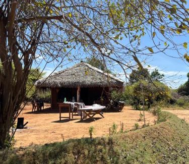 Yodakandiya Ski Chalet | Ego Lakeside Safari Retreat- Yala Tissamaharama