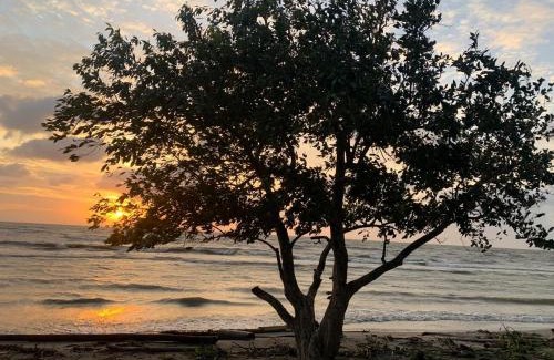 Turbo House | EL ABRAZO