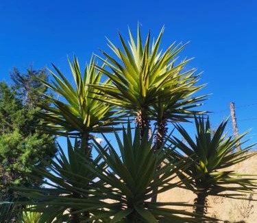 Villa de Leyva Ski Chalet | El Ensueño
