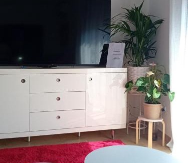 La Canyada dels Pins Apartment | El estudio de las mariposas,sofa cama , cocina y baño
