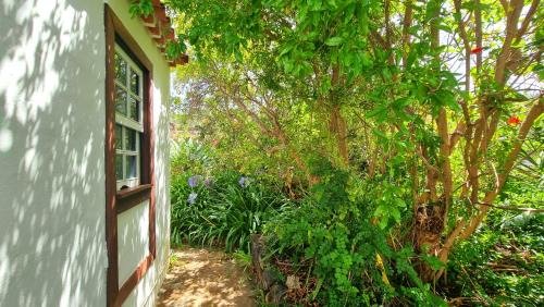 Puntagorda House | El Jócamo