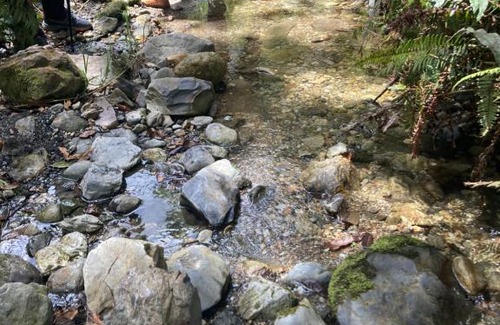 Gambita House | El Mirador De Los Andes