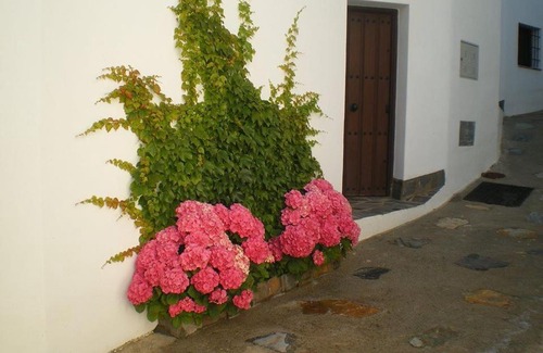 Fregenite House | El Retiro