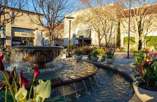 Walnut Creek Condo | Elegant 1BR Condo at The Rise Walnut Creek