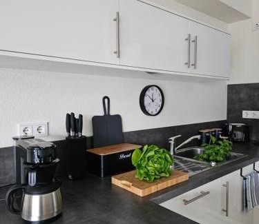 Kues Apartment | Elegant Apartment with Direct River View, Balcony and Parking in Bernkastel-Kues