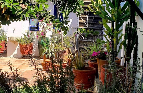 Ruta Independencia House | Elegant Home in Centro Historico Oaxaca