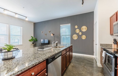 Downtown Memphis Apartment | Elegant KING SUITE downtown with a POOL and GYM