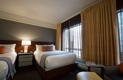 Downtown Portland Hotel | Elegant Premium Retreat | 3 Double Beds for Comfort | Pet friendly Rooms