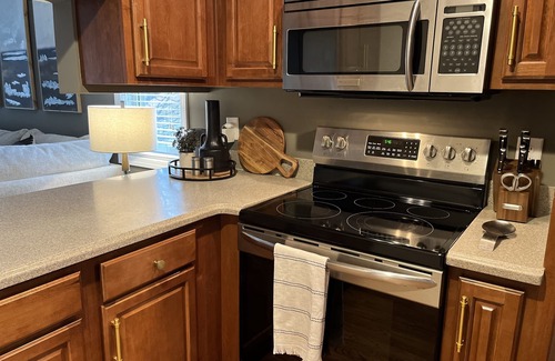 Helen Apartment | Elevator! Jubela's InTown Apt - Extremely Walkability to Main Street