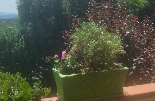 Santa Maria degli Angeli Apartment | Elisa Maison