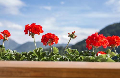 Serfaus House | Elisabeth Serfaus inkl der SUPER SOMMER CARD im SOMMER 2026