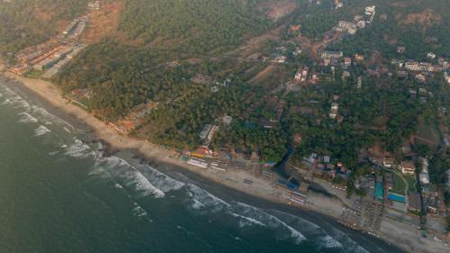 Morjim Villa | ELIVAAS House of Neptune 1 BHK Cottage Villa on the Beach