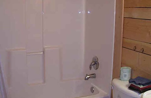 Lake City House | Elk Log Home 4 bed 2 bath W/D