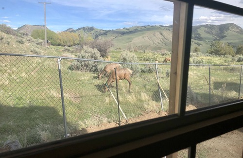 Gardiner Cabin | Elk View Cabin