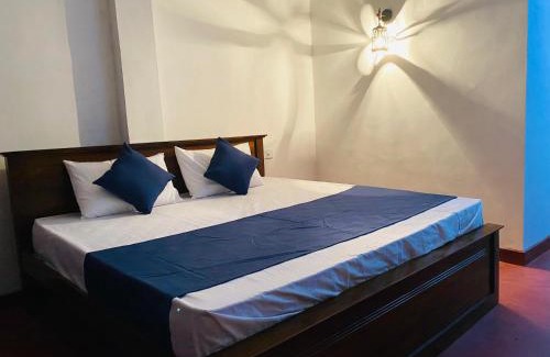 Ella House | Ella Hidden Ferns