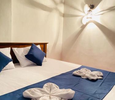 Ella House | Ella Hidden Ferns