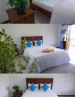 Ella Bed & Breakfast | Ella Tea House Garden