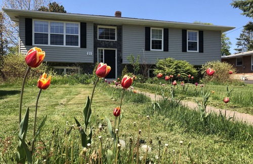 Charlottetown House | Emerald Gem is a beautiful Guest House near everything: Water, Park & Downtown