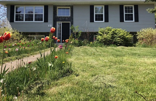 Charlottetown House | Emerald Gem near downtown, park and river, front & back yard