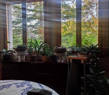 Grizzana Morandi Bed & Breakfast | Emilia Green Escape BnB