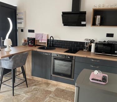 Paizay-le-Chapt Apartment | En amoureux