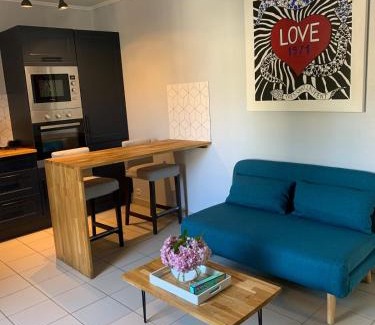 Saint-Benoit-des-Ondes Apartment | en baie du mont saint Miche Proche bord de mer