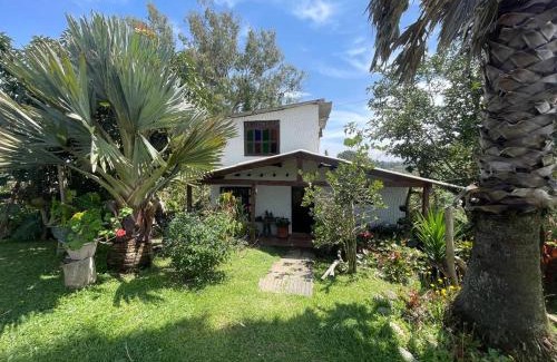 Marinilla Other | Encanto Verde