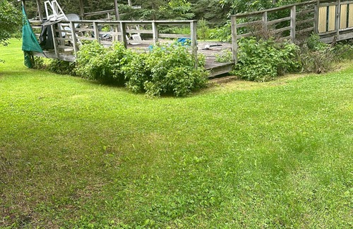 Butternut House | Enchanting 3-bdrm house in Butternut with trail access and fishing nearby!