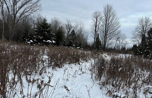 Butternut House | Enchanting 3-bdrm house in Butternut with trail access and fishing nearby!