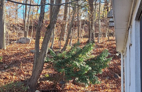 Scarsdale House | Enjoy a centrally located Edgemont 3Brm house in nature