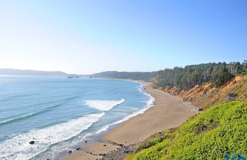 Newport Hotel | Enjoy a Hassle-Free and Suiting Stay! Modern Unit For 4, Pets Allowed!