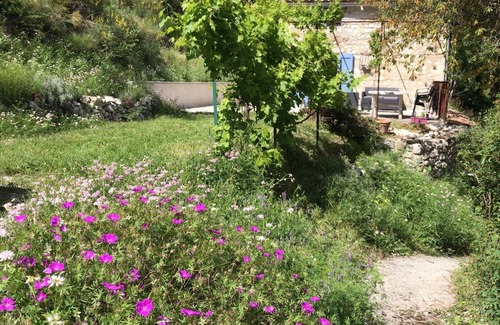 Saint-Andre-les-Alpes Villa | Enjoy an authentic Provencal cabanon set in a hectare with a magnificent view!