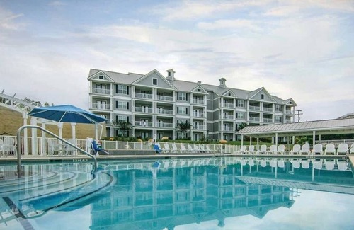Canyon Lake Resort | Enjoy fun-filled activities with your family and friends!